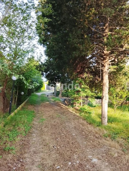 ویلای شمال