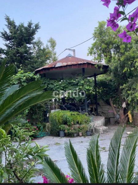 ویلای شمال